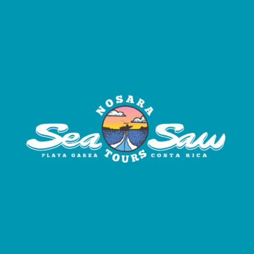 Pacific Dream Nosara logo - Catamaran tours and ocean experiences in Costa Rica